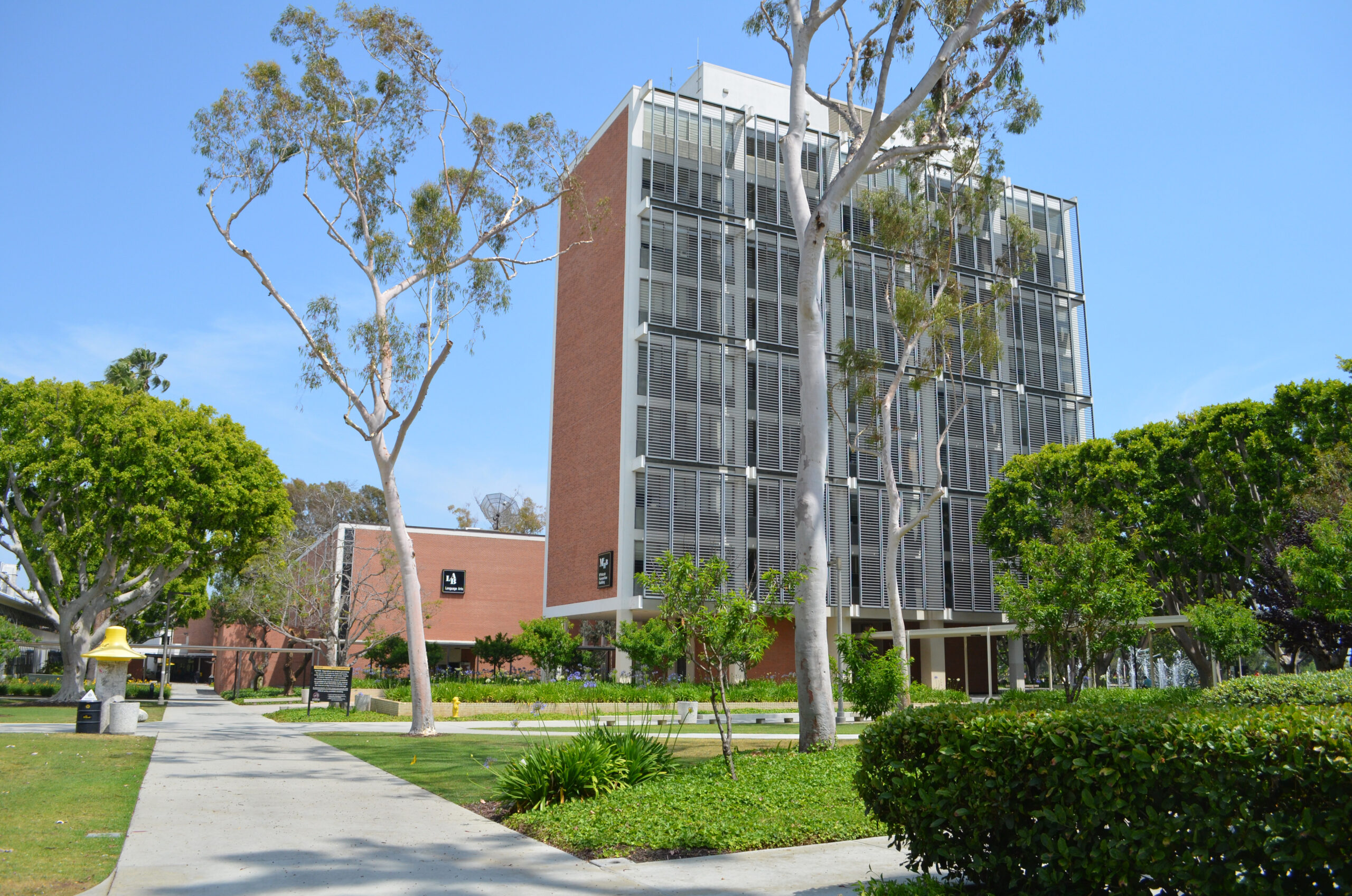 California State University, Long Beach