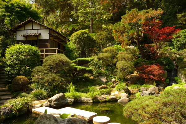 Ethel Guiberson/Hannah Carter Japanese Garden