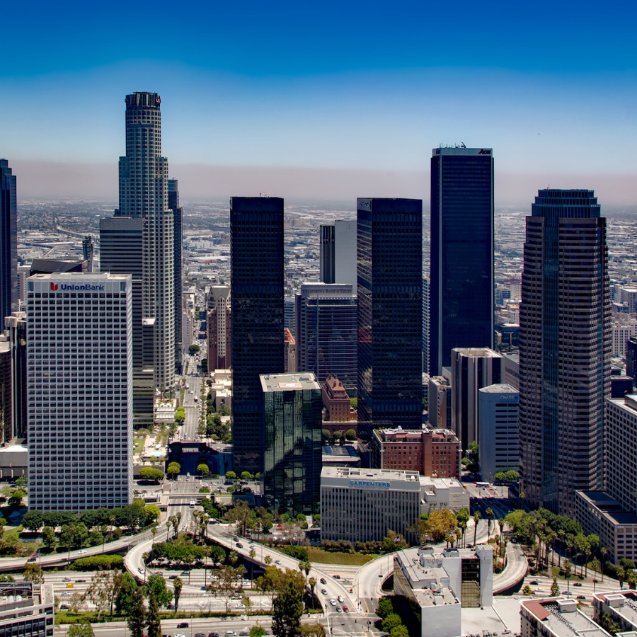 View of downtown Los Angeles skyline.