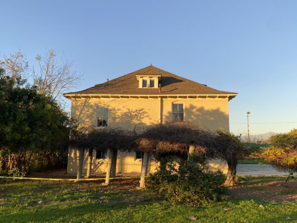 Two story Greek Revival residence with grape vines in foreground