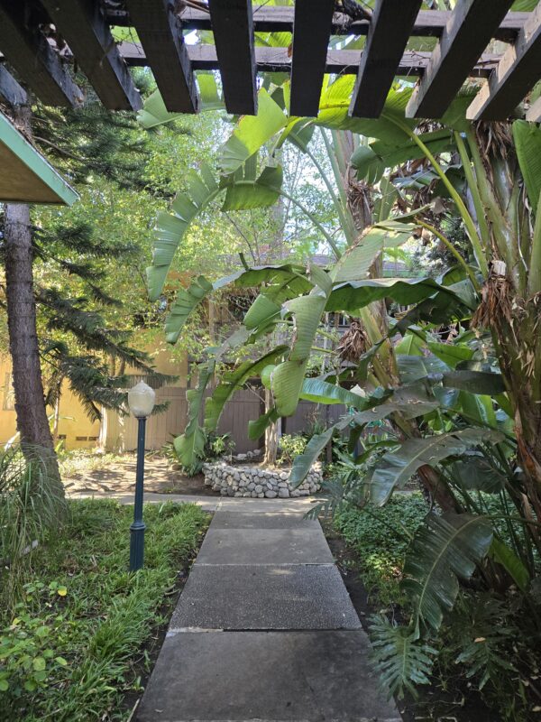 Glendale Garden Homes foliage and walkway